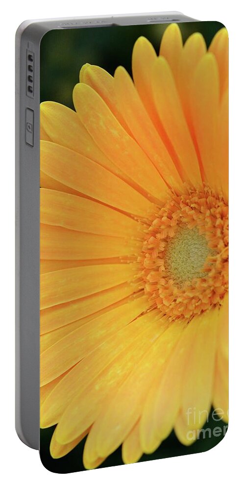 Flowers Portable Battery Charger featuring the photograph Petal Power by Cindy Manero