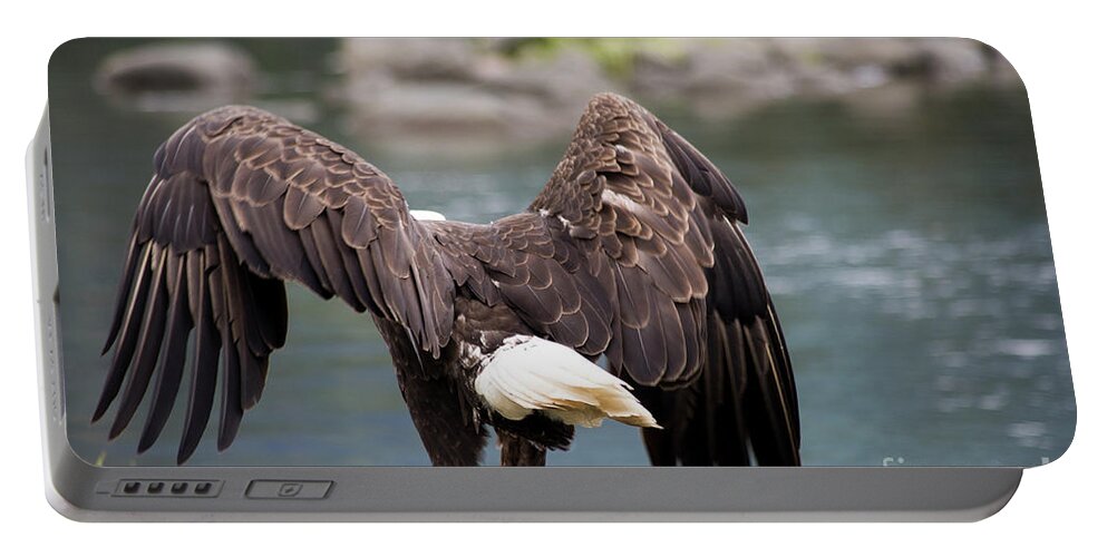 Eagle Portable Battery Charger featuring the photograph Petersburg AK Bald Eagle Takeoff by Louise Magno