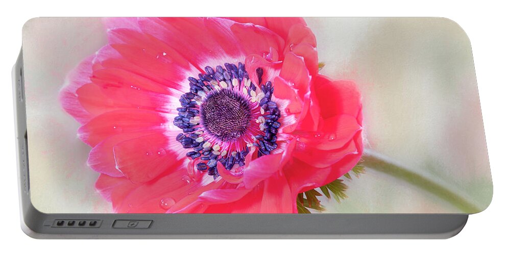 Flower Portable Battery Charger featuring the photograph Petite perfection. by Usha Peddamatham