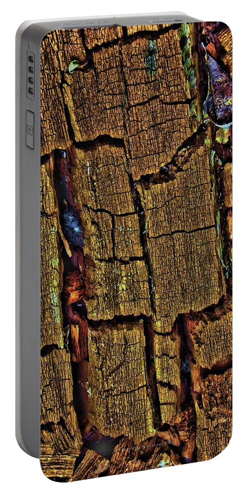 Tree Portable Battery Charger featuring the digital art Petrification by Vincent Green