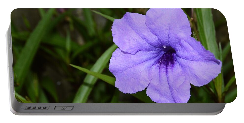 Petunia And Raindrops Portable Battery Charger featuring the photograph Petunia and Raindrops by Warren Thompson