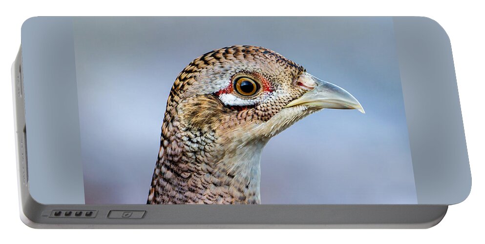 Pheasant Hen Portable Battery Charger featuring the photograph Pheasant Hen by Torbjorn Swenelius