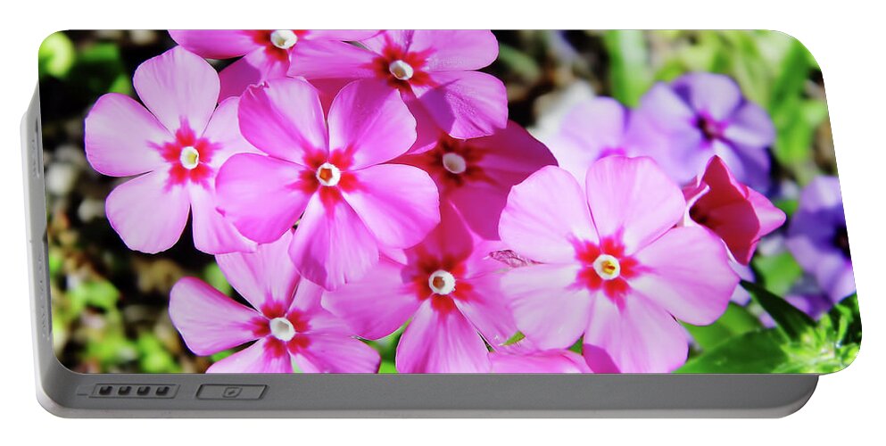 Phlox Portable Battery Charger featuring the photograph Phlox Beside The Road by D Hackett