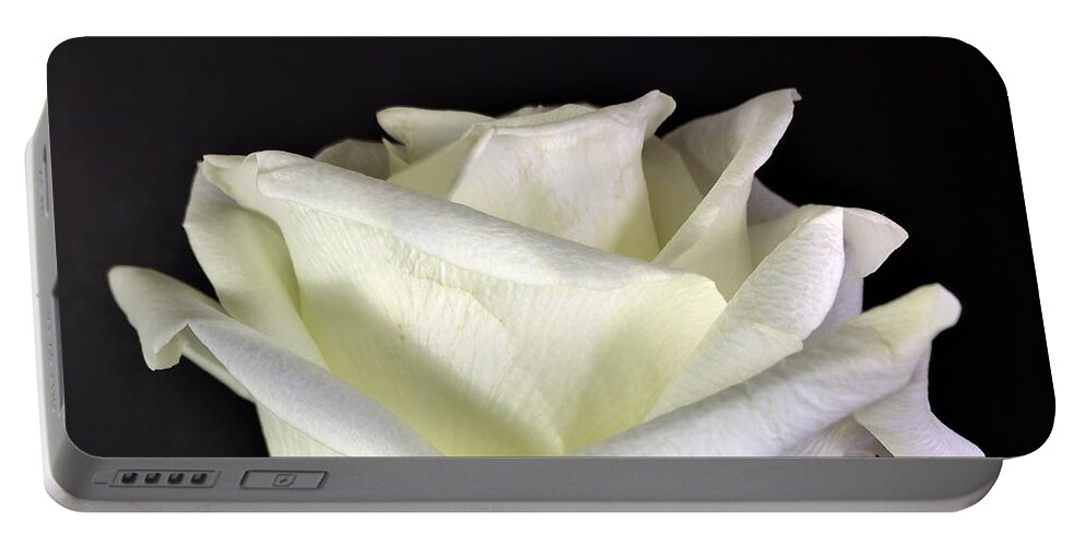 Photograph Portable Battery Charger featuring the photograph Photograph White Rose by Delynn Addams by Delynn Addams