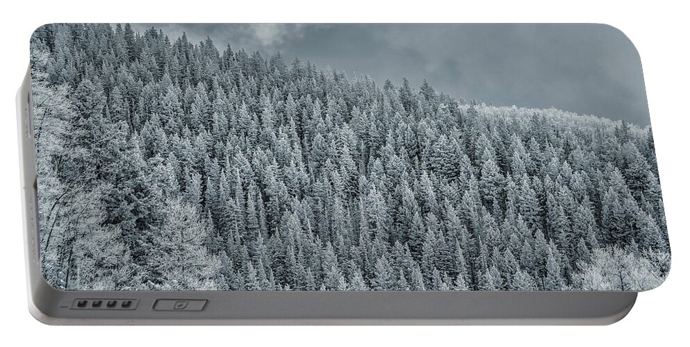 � 2015 Lou Novick All Rights Resvered Portable Battery Charger featuring the photograph Winter Pines by Lou Novick