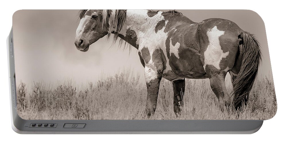 Mustang Portable Battery Charger featuring the photograph Picasso on the Ridge by Mindy Musick King