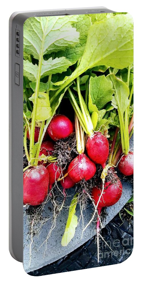 Radishes Portable Battery Charger featuring the photograph Picked just for you by Chrisann Ellis