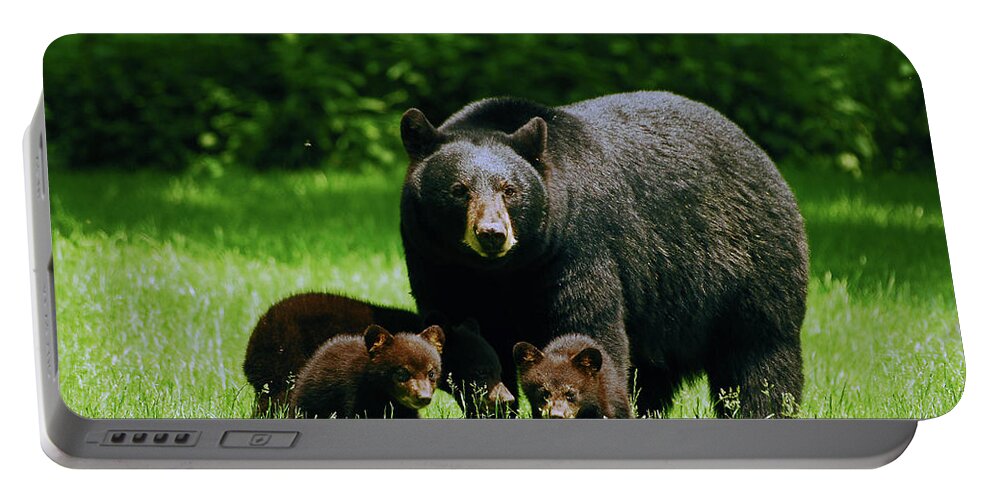 Black Bear Portable Battery Charger featuring the photograph Picnic Crashers by Lori Tambakis