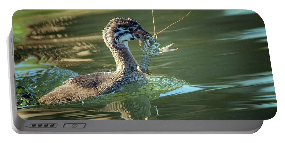 Pied-billed Portable Battery Charger featuring the photograph Pied-billed Grebe with Crawdad 2439 by Tam Ryan