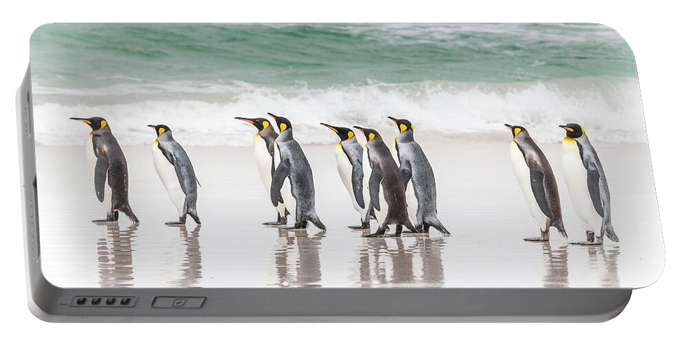 Birds Portable Battery Charger featuring the photograph Pied piper. by Usha Peddamatham