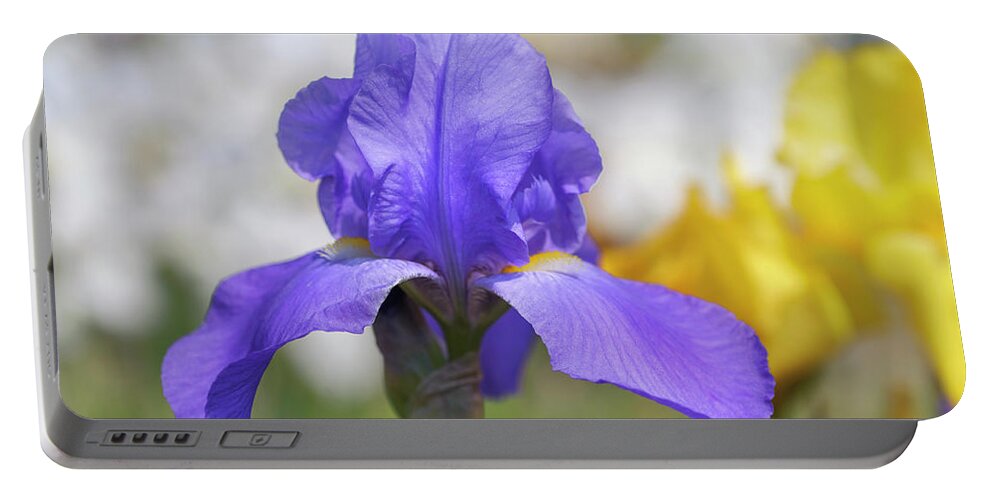 Jenny Rainbow Fine Art Photography Portable Battery Charger featuring the photograph Pierre Menard. The Beauty of Irises by Jenny Rainbow