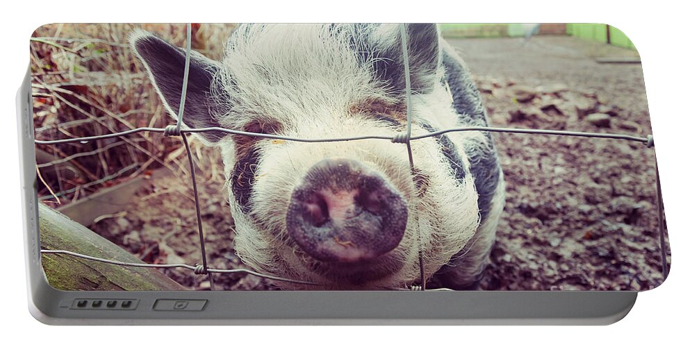 D90 Portable Battery Charger featuring the photograph Pig by Mariusz Talarek