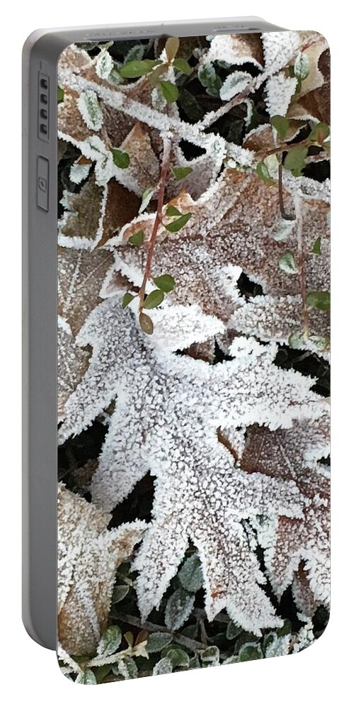 Pin Oak Portable Battery Charger featuring the photograph Pin Oak Leaves 2 by Kathryn Alexander MA