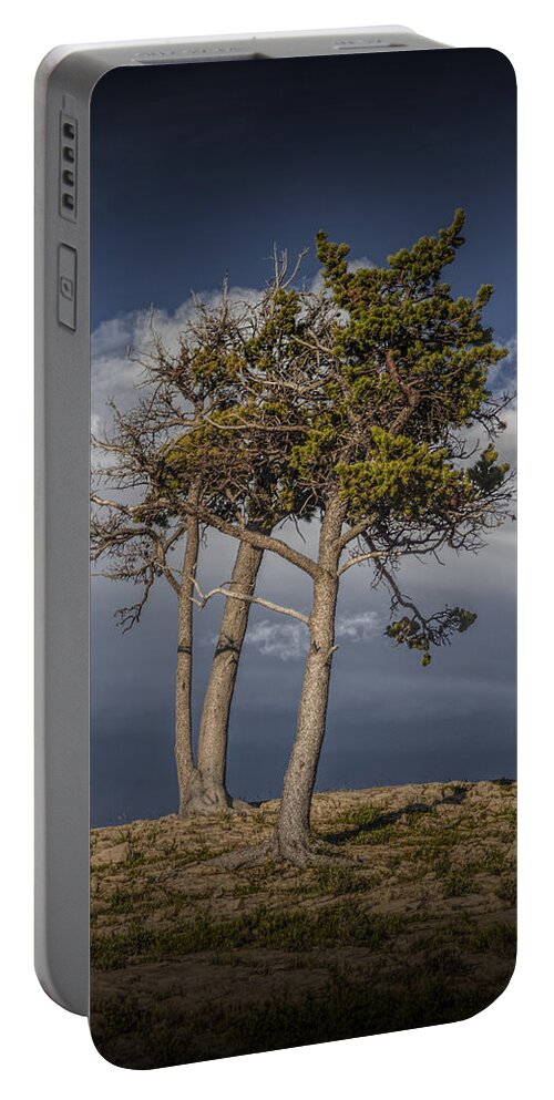 Art Portable Battery Charger featuring the photograph Pine Trees on Glacier Park Rocky Ridge by Randall Nyhof