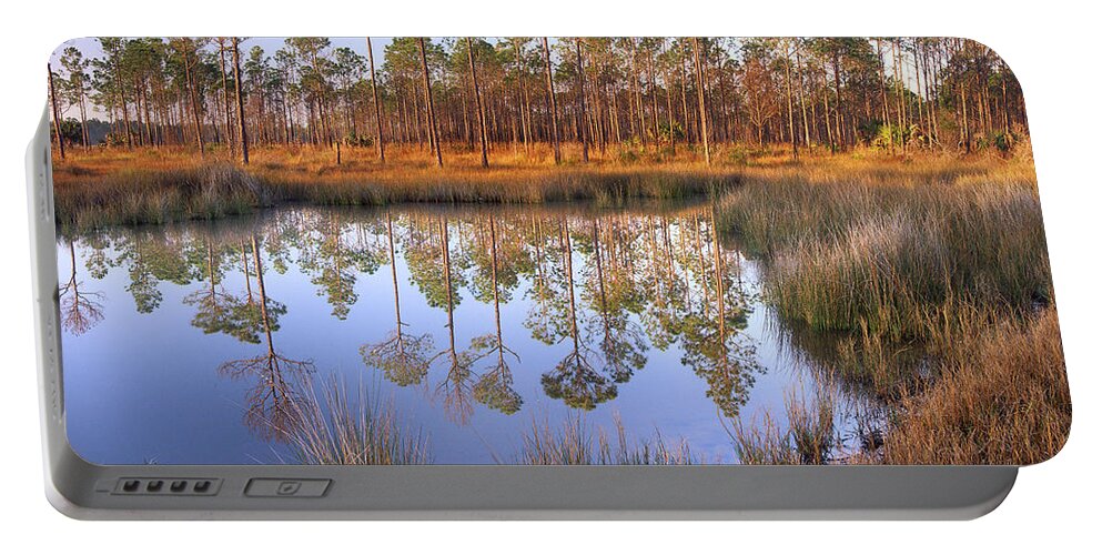 00175905 Portable Battery Charger featuring the photograph Pine Trees Reflected In Pond Near Piney by Tim Fitzharris
