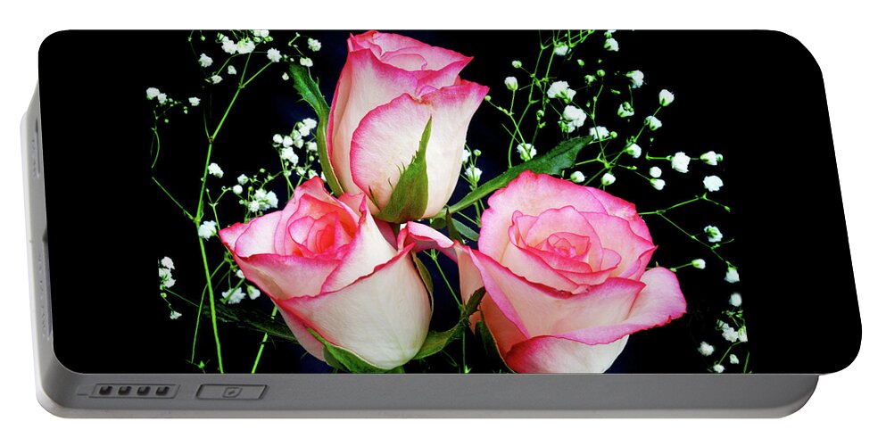 Roses Portable Battery Charger featuring the photograph Pink And White Roses by Terence Davis