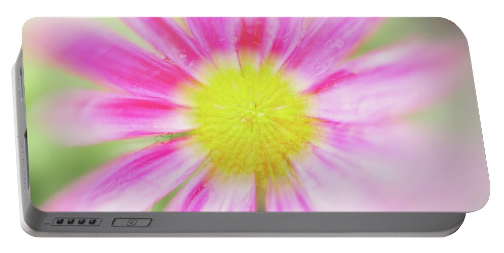 Pink Portable Battery Charger featuring the photograph Pink Aster Flower with raindrops abstract by Nick Biemans