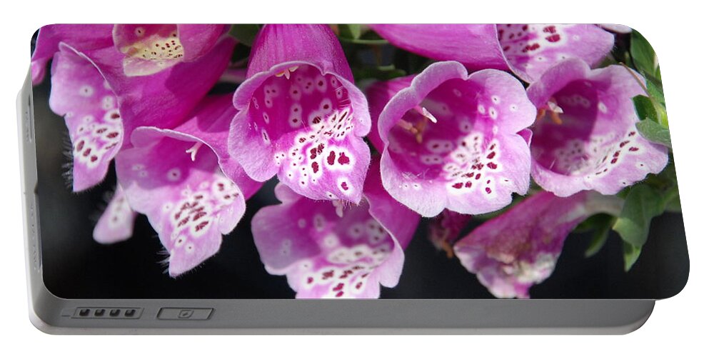 Pink Flowers Portable Battery Charger featuring the photograph Pink Bells by Ee Photography