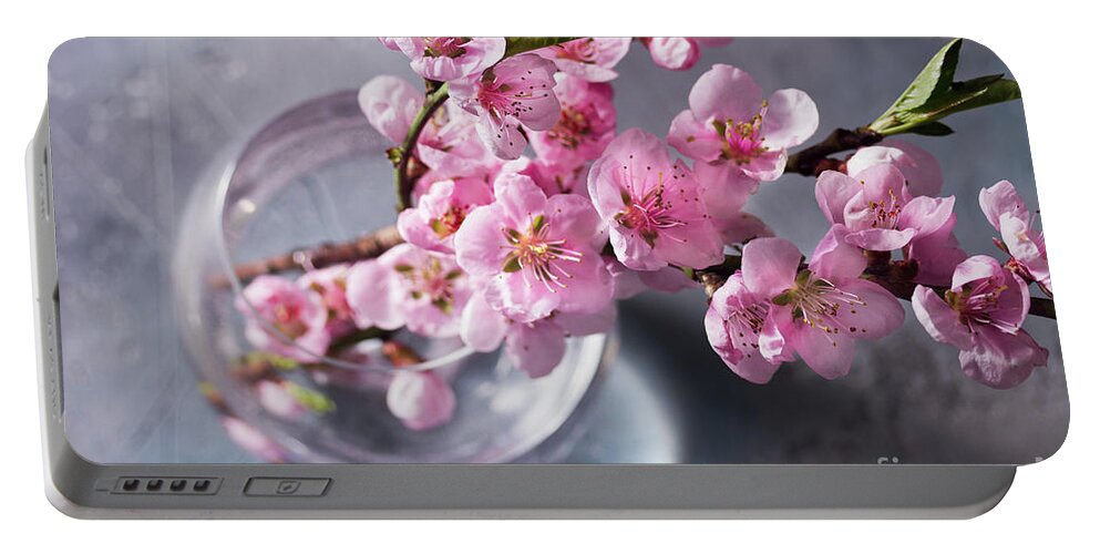 Cherry Portable Battery Charger featuring the photograph Pink Cherry Blossom by Anastasy Yarmolovich