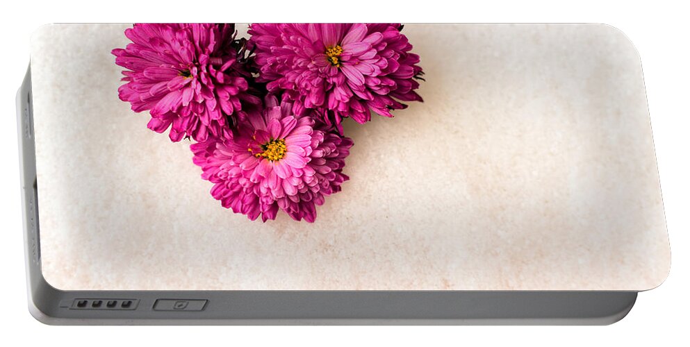 banjo Immigration pianist Pink Chrysanthemum Flowers on Snow Portable Battery Charger by John  Williams - Pixels