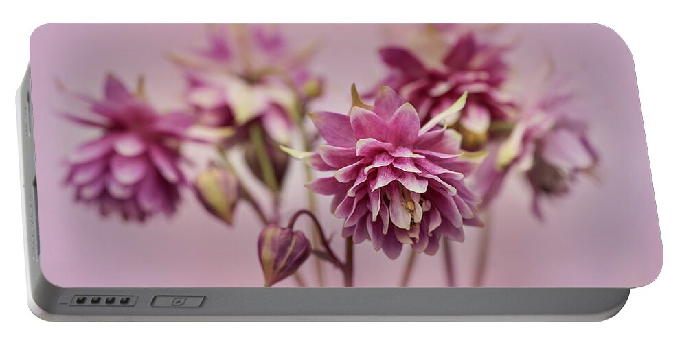 Colorful Portable Battery Charger featuring the photograph Pink columbines by Jaroslaw Blaminsky