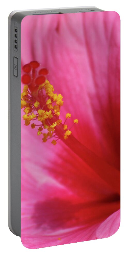 Hibiscus Portable Battery Charger featuring the photograph Pink Cotton Candy 02 by Pamela Critchlow
