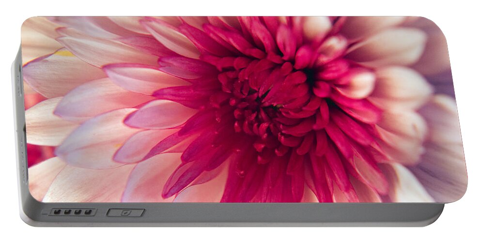 Wall Art Portable Battery Charger featuring the photograph Pink Dahlia by Kelly Holm