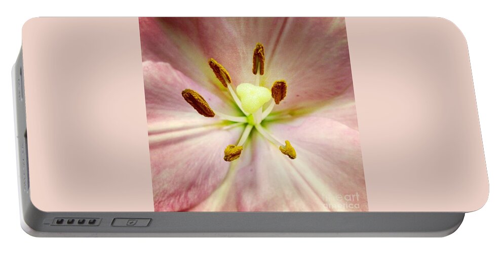 Lily Portable Battery Charger featuring the photograph Pink by Denise Railey