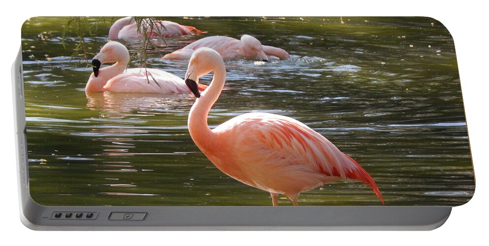 Photo Portable Battery Charger featuring the photograph Pink Flamingo by Chris Tarpening