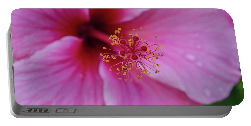 Pink Flower Portable Battery Charger featuring the photograph Pink Flower II by William Kimble