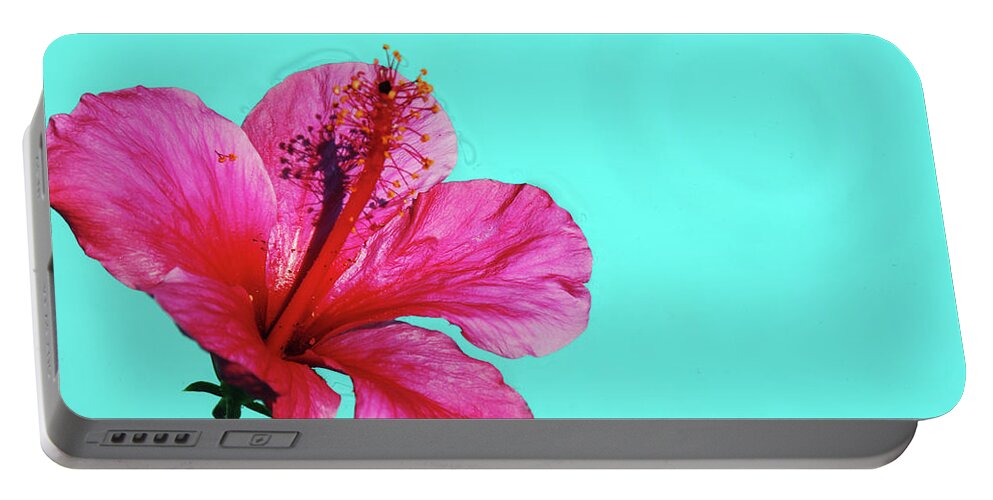 Flower Portable Battery Charger featuring the photograph Pink Flower in Water by William Kimble