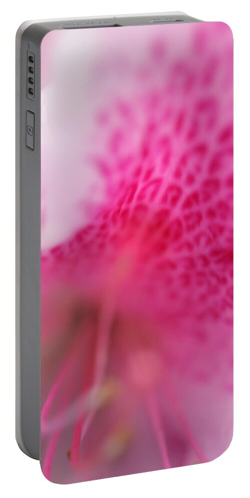 Flower Macro Zen Pink Photography Garden Portable Battery Charger featuring the photograph Pink Flower by Norah Holsten