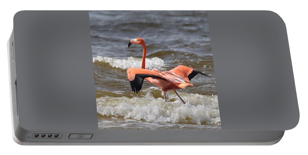 Flamingo Portable Battery Charger featuring the photograph Pretty in Pink by Jim Bennight