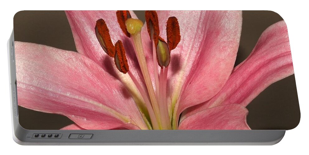 Pink Portable Battery Charger featuring the photograph Pink Lily by Eileen Brymer