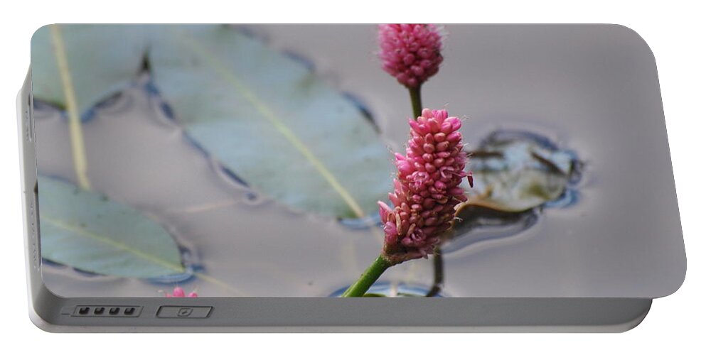 Pink Portable Battery Charger featuring the photograph Pink Lily Pad by Vivian Martin