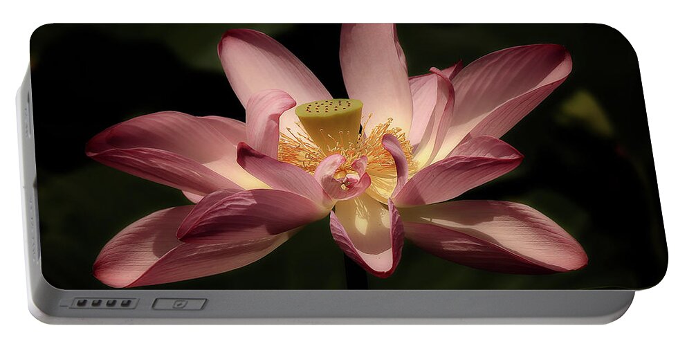 Lotus Portable Battery Charger featuring the photograph Pink Lotus by C Renee Martin