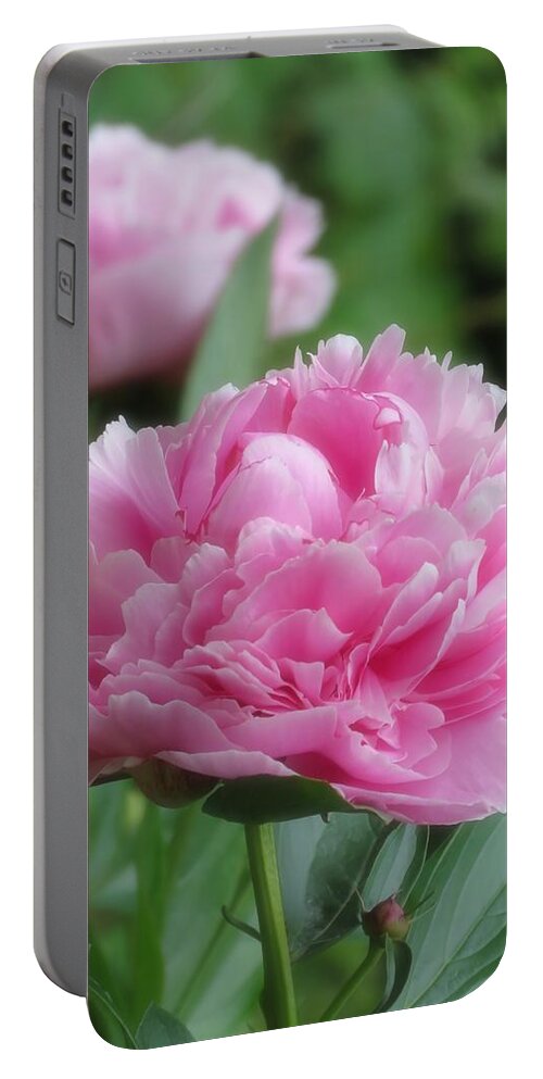 Peony Portable Battery Charger featuring the photograph Pink Peony Dreams by MTBobbins Photography