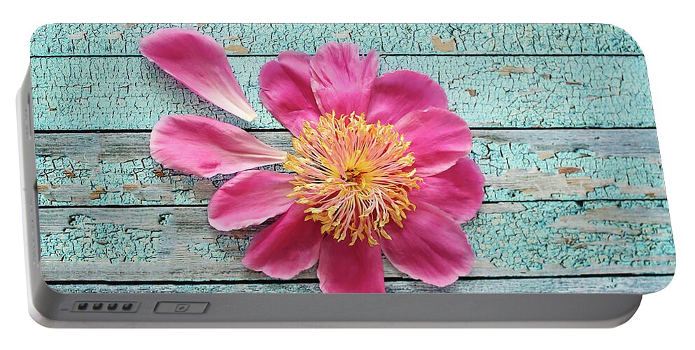 Nature Portable Battery Charger featuring the photograph Pink Peony On Aqua by Sylvia Cook