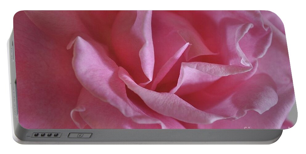 Pink Portable Battery Charger featuring the photograph Pink Rose by Bridgette Gomes