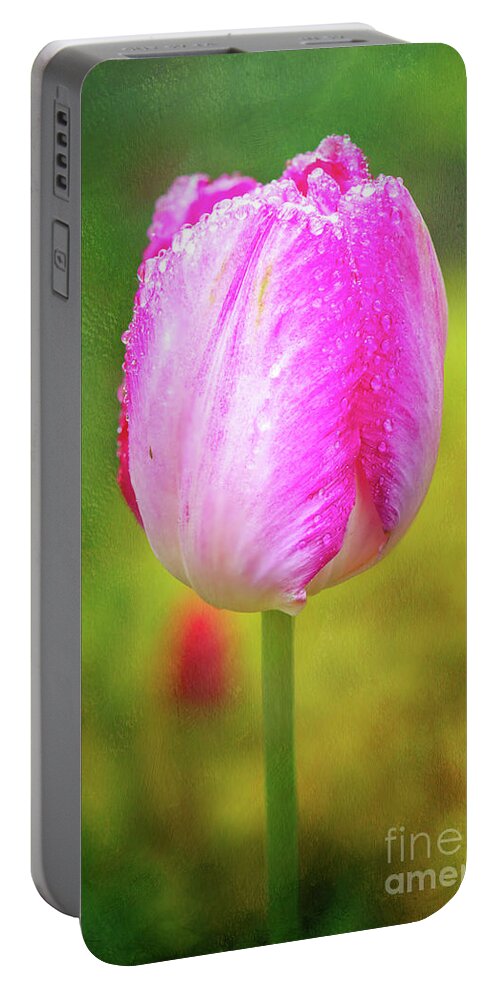 Pink Tulip Portable Battery Charger featuring the photograph Pink Tulip in the Rain by Anita Pollak