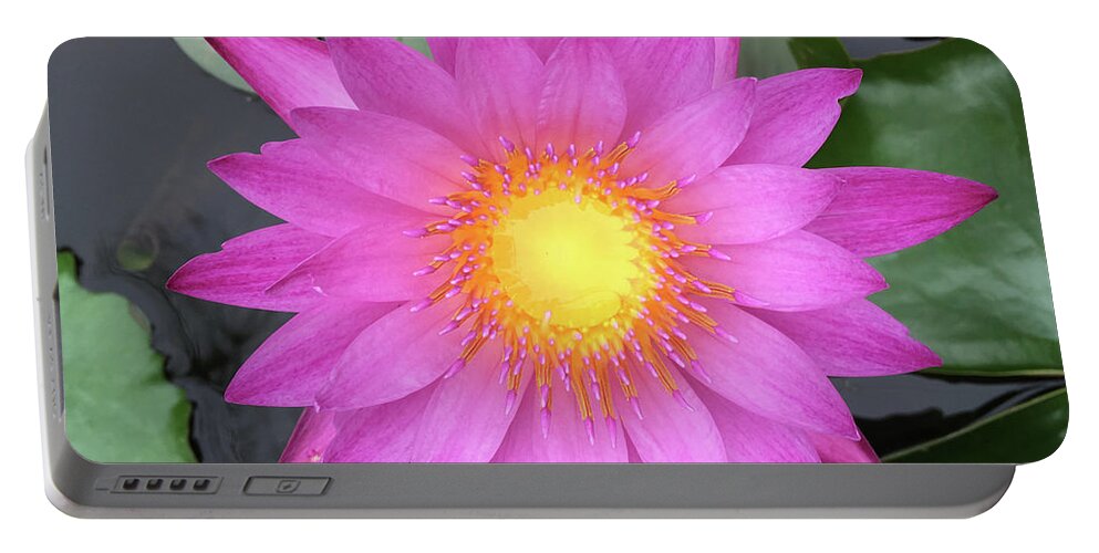 Pink Portable Battery Charger featuring the photograph Pink Water Lily Flower by Tony Grider