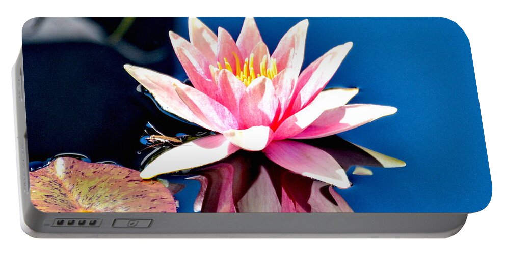 Water Lily Lily Portable Battery Charger featuring the photograph Pink Water Lily with Reflection by Amy McDaniel