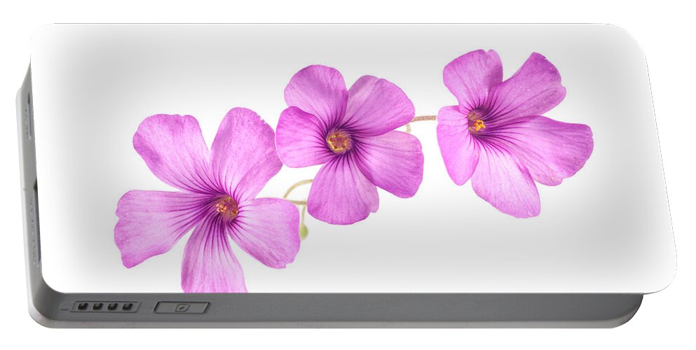 Flower Portable Battery Charger featuring the photograph Pink Woodsorrel flowers by John Paul Cullen