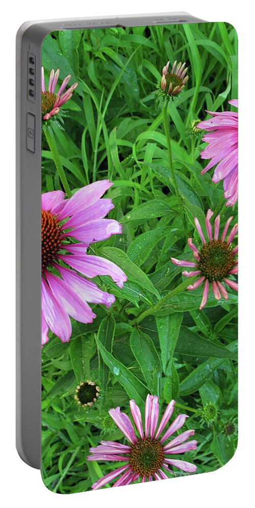 Floral Portable Battery Charger featuring the photograph Pinks in Bloom by Barbara McDevitt
