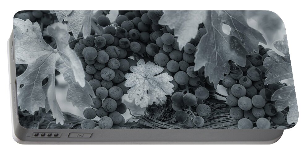 Abstract Portable Battery Charger featuring the photograph Pinot 2 by Jonathan Nguyen