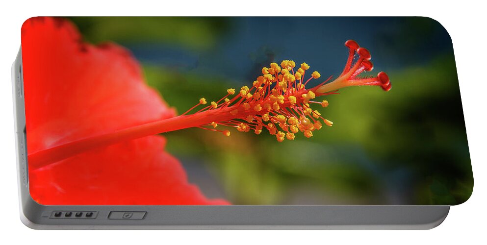 Hibiscus Portable Battery Charger featuring the photograph Pistil Of Hibiscus by Robert Bales