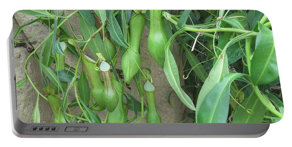 Green Portable Battery Charger featuring the photograph Pitcher Plant Madness by Brandy Woods