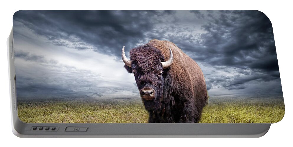 Bison Portable Battery Charger featuring the photograph Plains Buffalo on the Prairie by Randall Nyhof