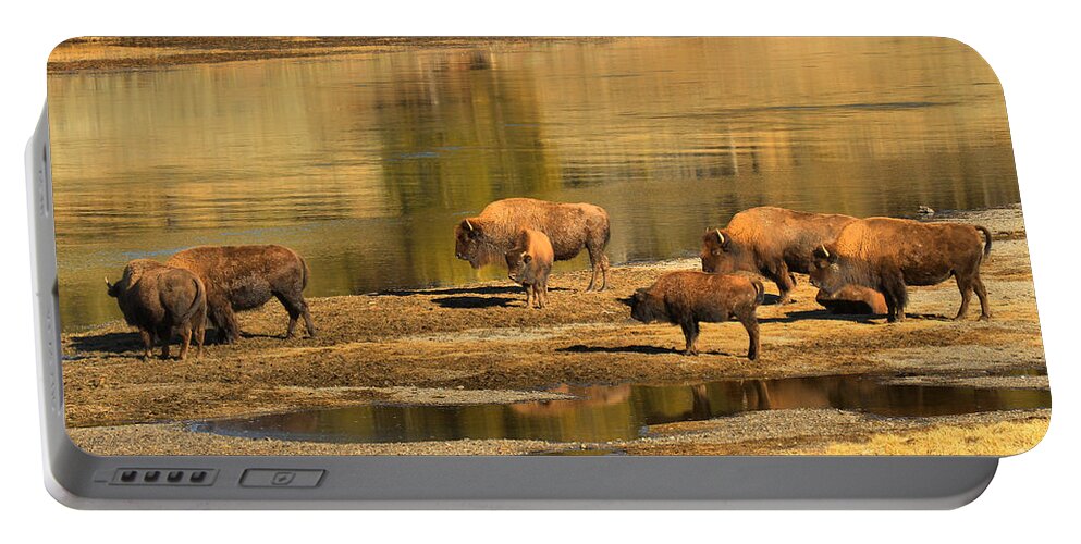Bison Portable Battery Charger featuring the photograph Planning To Cross by Adam Jewell