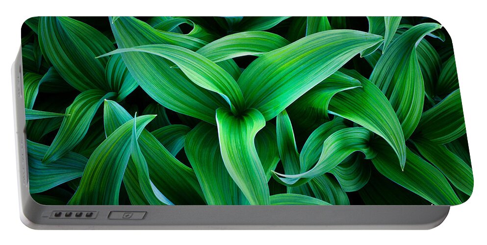 Plant Portable Battery Charger featuring the photograph Plant Chaos by Darren White